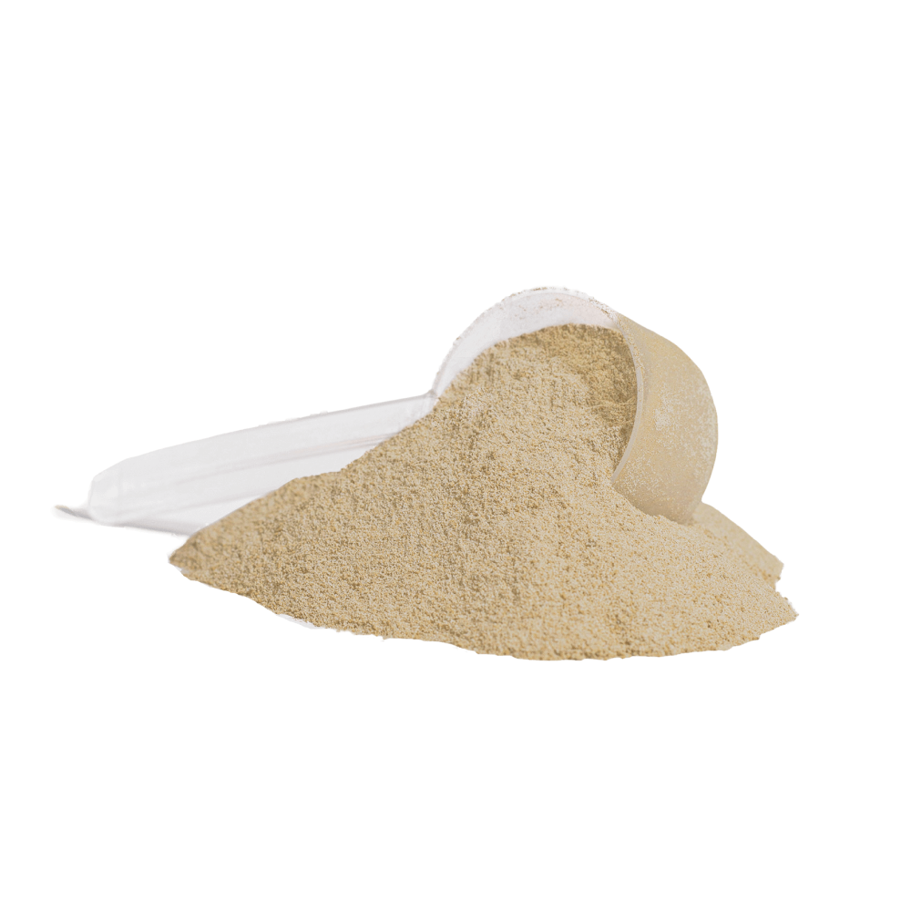 Whey Protein (Salty Caramel Flavour)